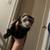 2 Ferrets with cage 4 thumbnail