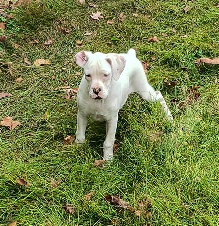3 month old girls63881507816321122