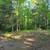 Your Fresh Start Is Down a Dirt Road 14 thumbnail
