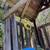 Backyard Play Structure 3 thumbnail