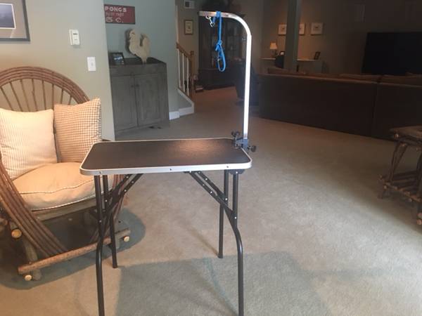 Dog grooming table 1