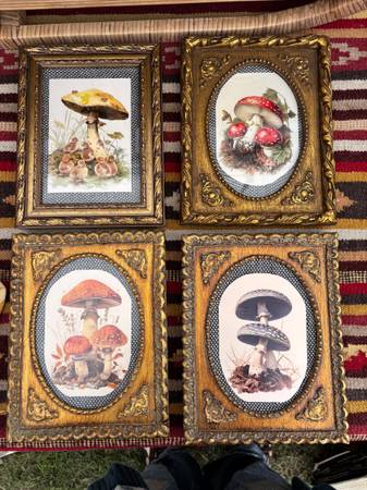 Gorgeous Mushroom Art 1