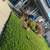 irrigation ,clean ups,fencing,lawn service ,artificial turf 5 thumbnail