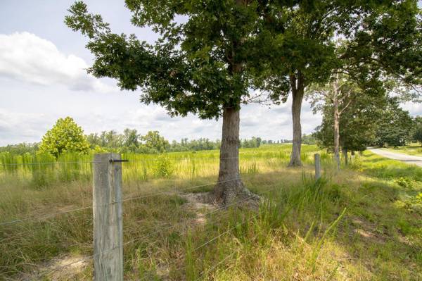 $79,900 ¿Qué podrías hacer con diez acres en Clover, Virginia? (South Boston)63689238633859123