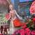 Melie Bianco RED Laser-Cut Tote Bag 1 thumbnail
