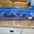 VINTAGE DISNEY HAUNTED MANSION HEARSE - DIE CAST THEME PARK COLLECTION 3 thumbnail