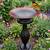 Bird baths 2 thumbnail