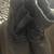 Bear Traps Woman’s Boots~size: 9.5 1 thumbnail