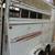 Bee Horse Trailer 2 thumbnail