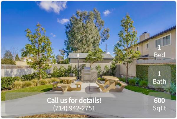 Convenient kitchen appliances and in sink disposal 1