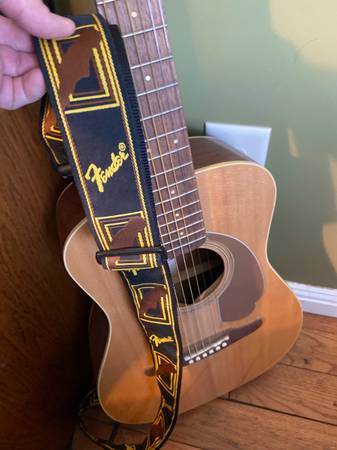 Fender Guitar Malibu Player acoustic 1