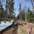 80 Acre Parcel with Extensive Network of Trails! 1 thumbnail