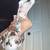 Dalmations 3 thumbnail