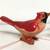 Vintage 1950's "Red Birds (Cardinals?)" Salt and Pepper Shaker Set 2 thumbnail