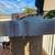 ****WEBER GENESIS GRILL WITH COVER 2 FULL PROPANE TANK & GRIDDLE**** 8 thumbnail