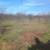 Mulching/shredding/skidsteer work. 10 thumbnail