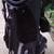 Golf bag 1 thumbnail
