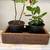2 - Solid wood planter boxes. One short (with a hole) and one long.  M 3 thumbnail