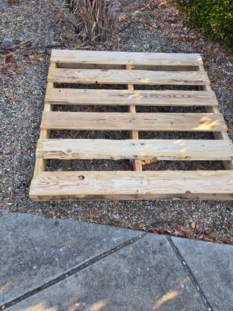 Free wood pallet 1