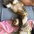Two Kittens 1 thumbnail