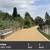 Rent a great 1 bed / 1 bath! 1 thumbnail