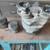 Harley Sportster Head Cylinder 6684-71 (2) Pistons from 1976 1000 1 thumbnail