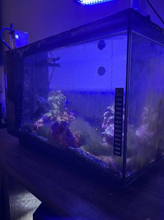 13.5 G Tanque de agua salada (Milton)63836590532099120