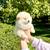 Sweet loving polar bear Pomeranian 2 thumbnail