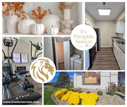 $1,126 / 1br - 756ft2 - Pop In for Pumpkin Season and Lease Your New Apt.! (NOBLESVILLE)63989232442114120