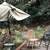 Small Rustic Camping Cabin in Redwood Retreat,Pet Ok 5 thumbnail