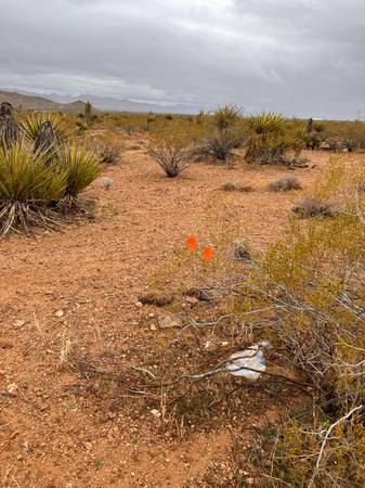 $8,500 2.2 Acres for sale in Golden Sage Ranchos Unit 70 apn 339-11-053 (Golden Valley)64038881687299120