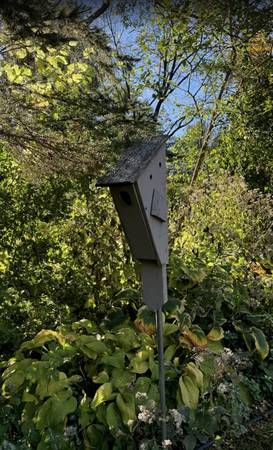 BIRDHOUSE w/ Pole for Bluebirds & Other Birds 1