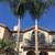 🌳Tree service&Lawn service & New grass palm tree trimming 1 thumbnail