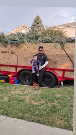 Tree service 7204617925 1