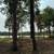 Beautiful Lot on LITTLE OXBOW LAKE 14 thumbnail