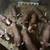 Feeder piglets 2 thumbnail