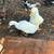 Ducks 1 thumbnail