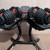 Bowflex adjustable dumbbells 1 thumbnail