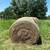 Round Bales 1 thumbnail