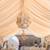 Mega Party Rental | Premier Event Solutions (Los Angeles) 10 thumbnail