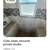 Very secured, quiet , fully furnished loved Studio with gated parking 2 thumbnail