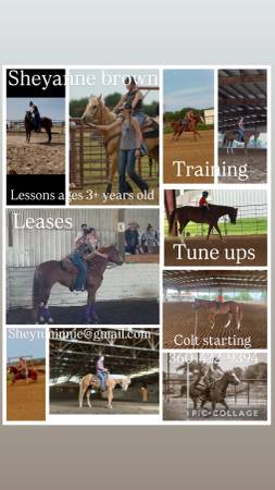 Riding lessons and training 1