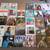 1980s Rare Vinyl Records - Lot of 30 - Mixed Genres 1 thumbnail