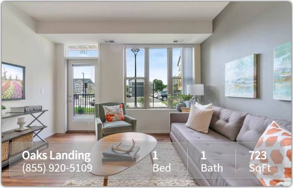 $1,395 / 1br - 723ft2 - Cat and Dog Heaven! Amazing Pet-Friendly Community! 1 Bed / 1 Bath (New Brighton)63990228588035122