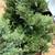 (2pc) Faux Christmas Trees in Wood Box Planters 8 thumbnail