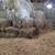 Hay bales 1 thumbnail