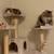Part-Time Pet Sitter | Evenings & Weekends | Marlborough Area 22 thumbnail