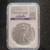 2021 Silver Eagle 1 thumbnail