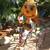 Yard Art Bumble Bee on a Bike 4 thumbnail