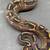 Ball python collection 1 thumbnail